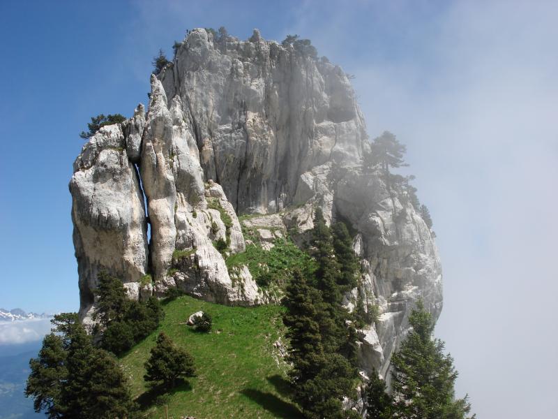 Tête de la tour percée