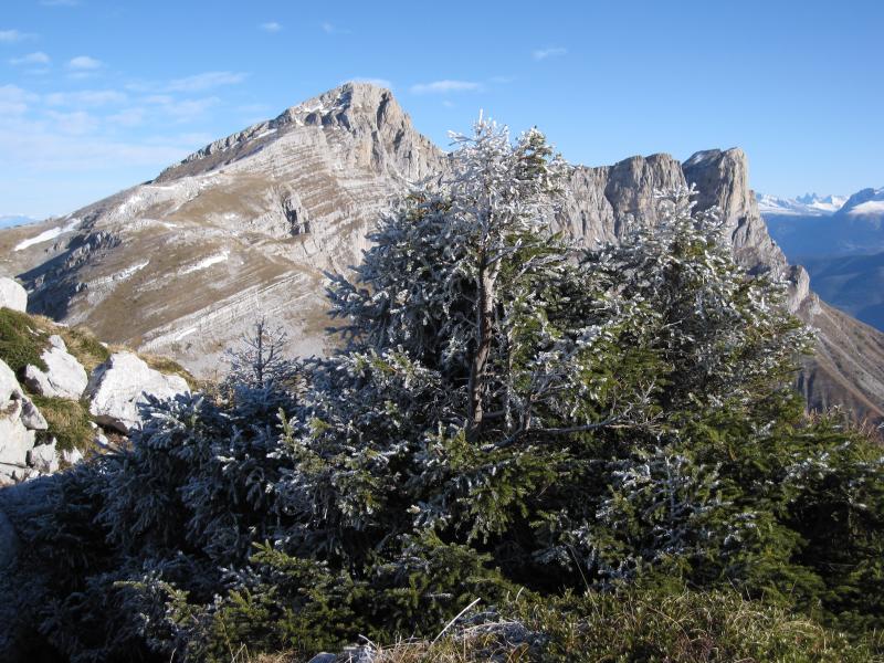 Tête des Chaudières, croupe sud