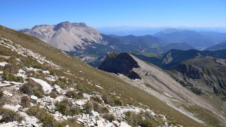 Tête des Ormans