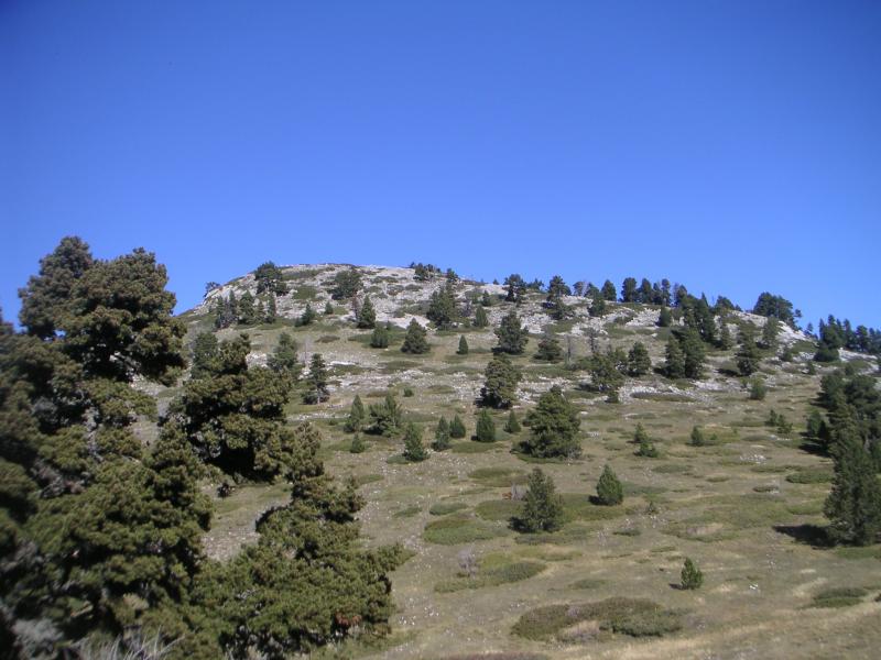 Tête du petit Jardin