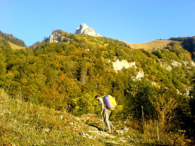 Timides couleurs d'automne