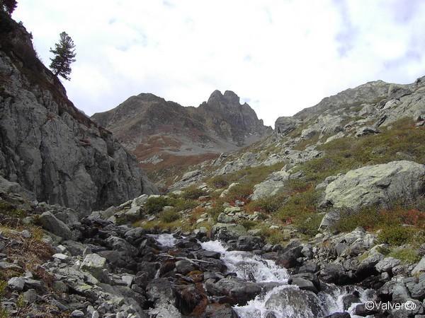 Torrent d'Articol