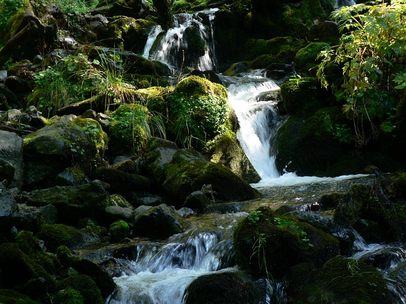 Torrent en montant au Habert d'Aiguebelle