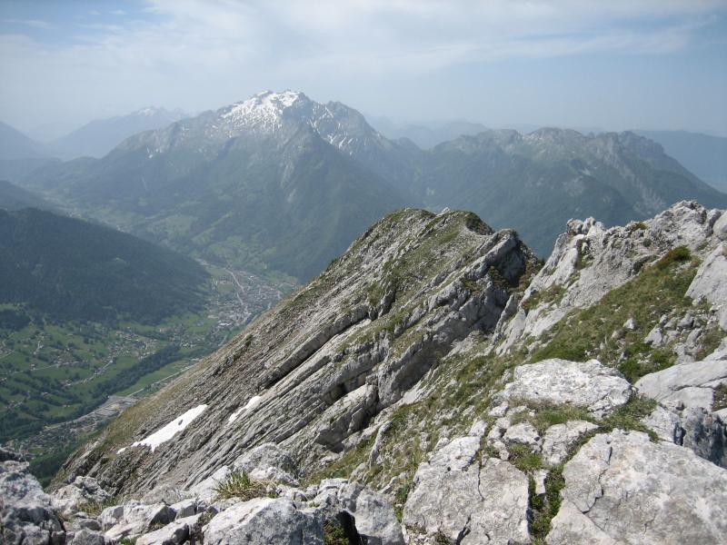 Tournette