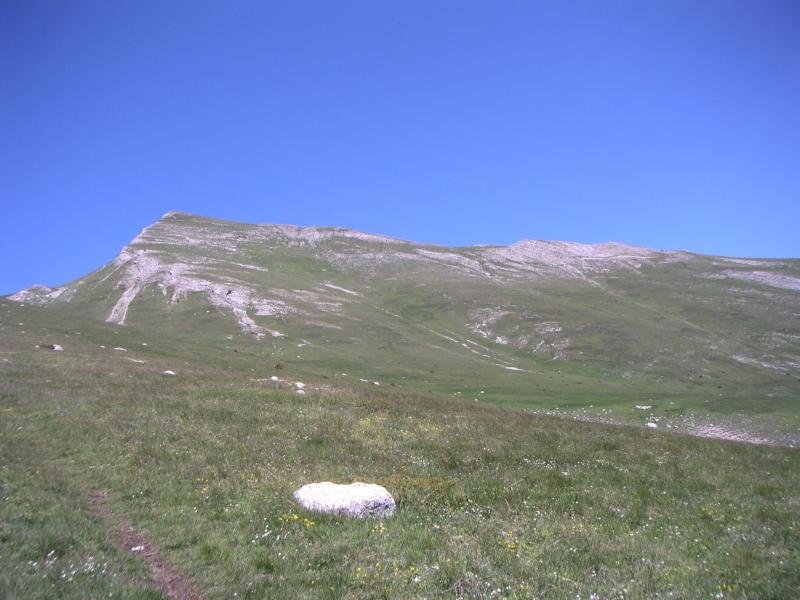 Toussière