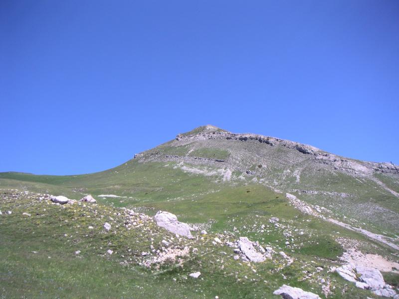 Toussière