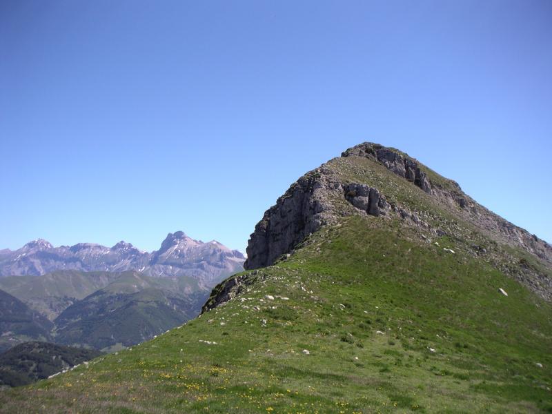 Toussière