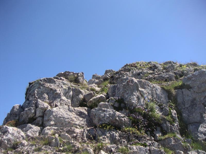 Toussière