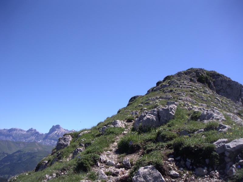 Toussière