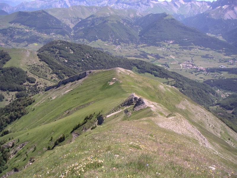 Toussière