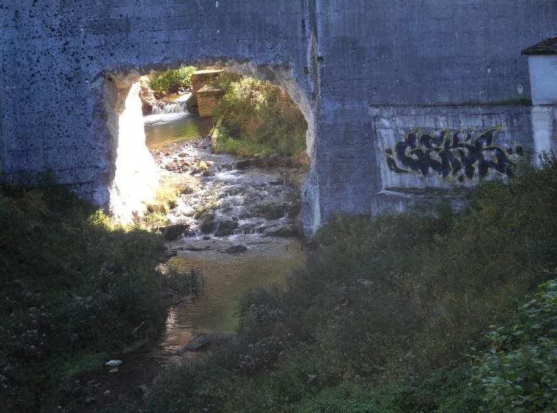 Tout au fond coule le Gier...