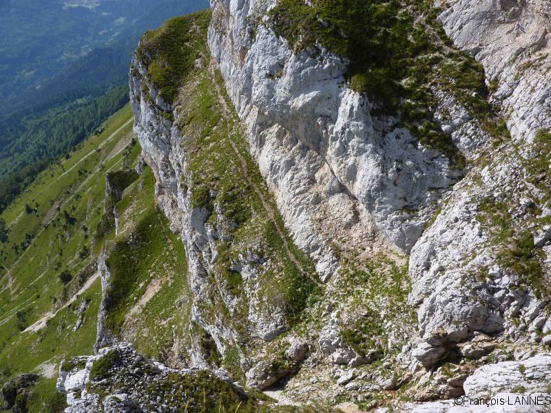 Trace des bouquetins et chamois
