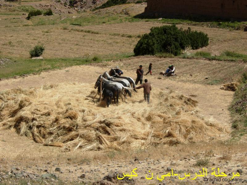 Travailler à la tradition
