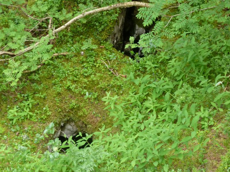 Trous en bordure du sentier bleu
