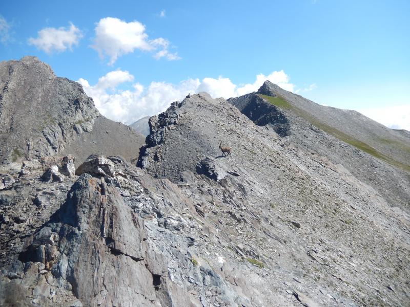 Tête de l'Autaret