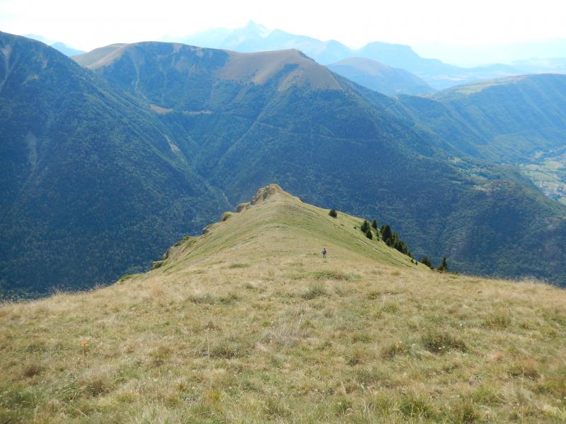 Tête du Vet