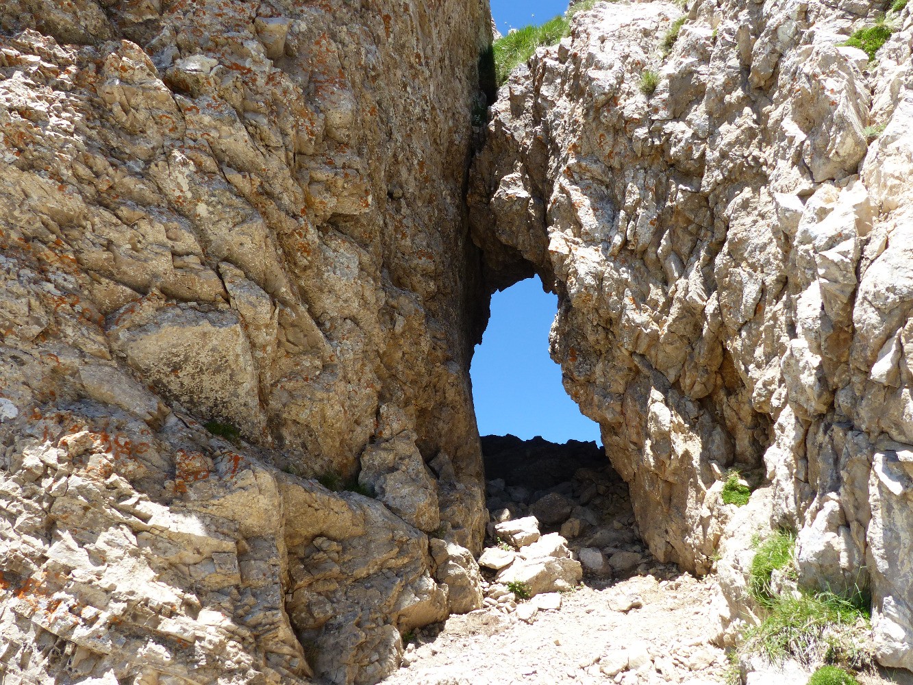 L'arche " chas "