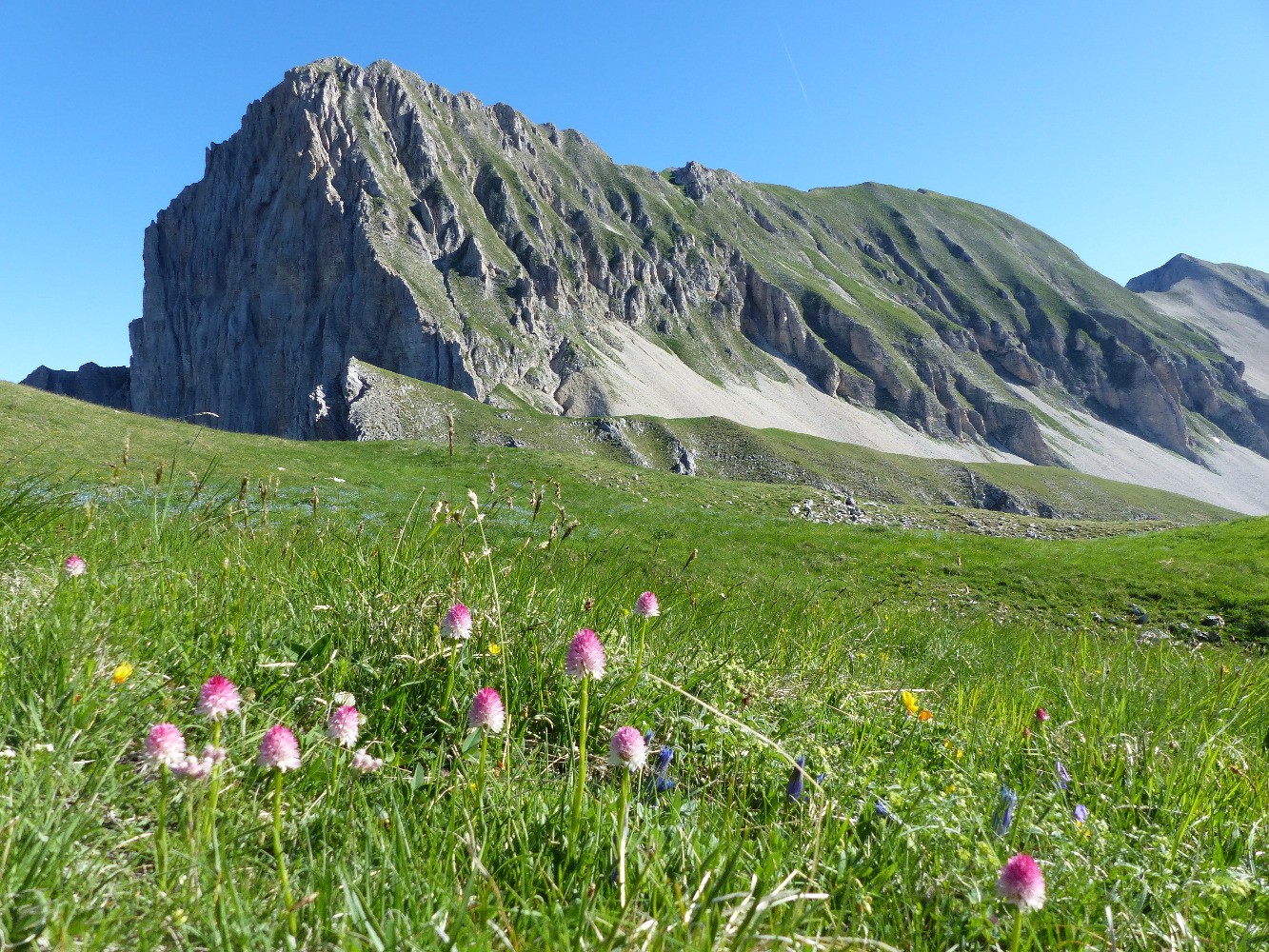 Tï¿½te de Vacheres par les cretes du vallon des aiguilles 