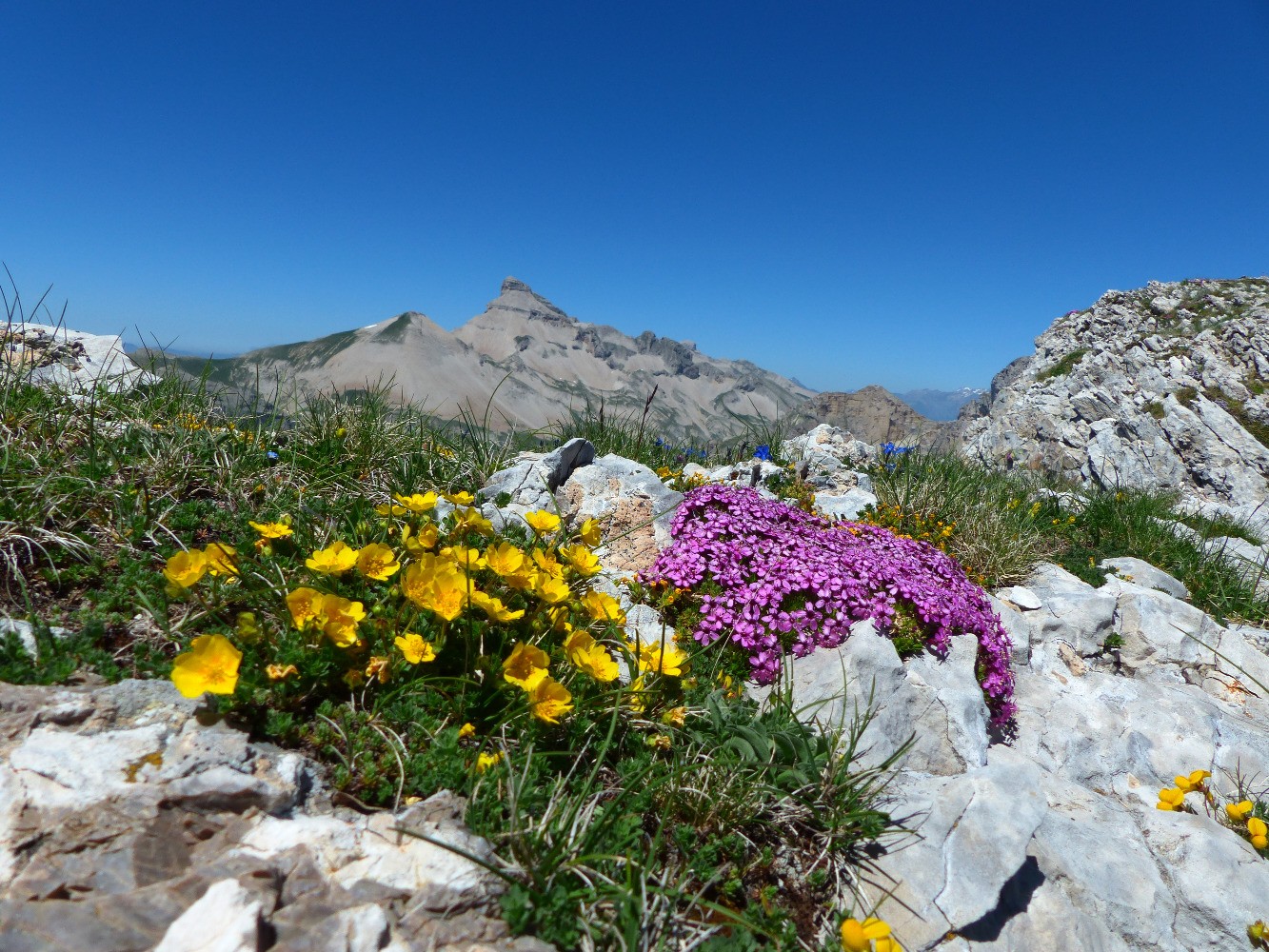 TÃªte de VachÃ¨res par les crÃªtes du Vallon des Aiguilles