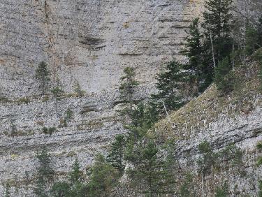 Les yeux de la Souloise