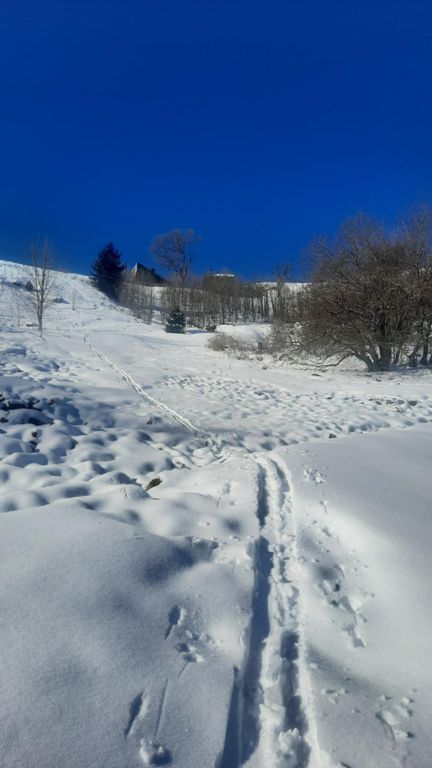 Pointe des Brasses en ski de ra do