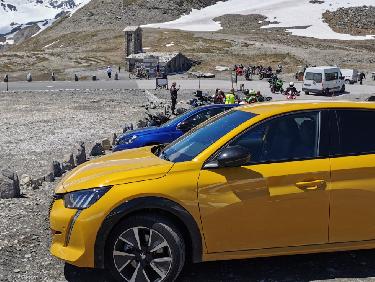 tauto canarie Ã  2770m