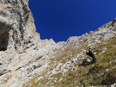 TDC_20171014_10555900