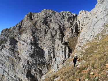 TDC_20171014_11180725