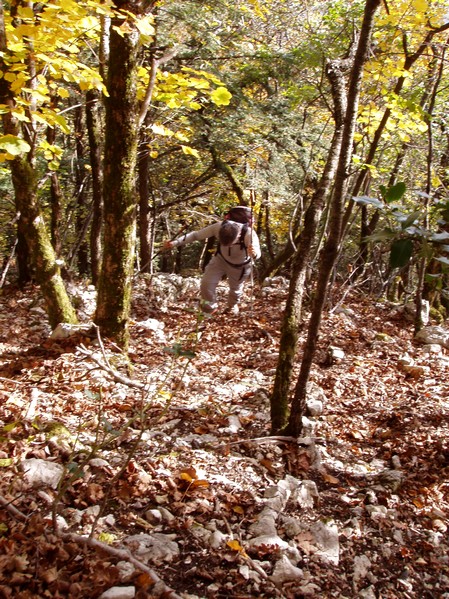terrain mixte