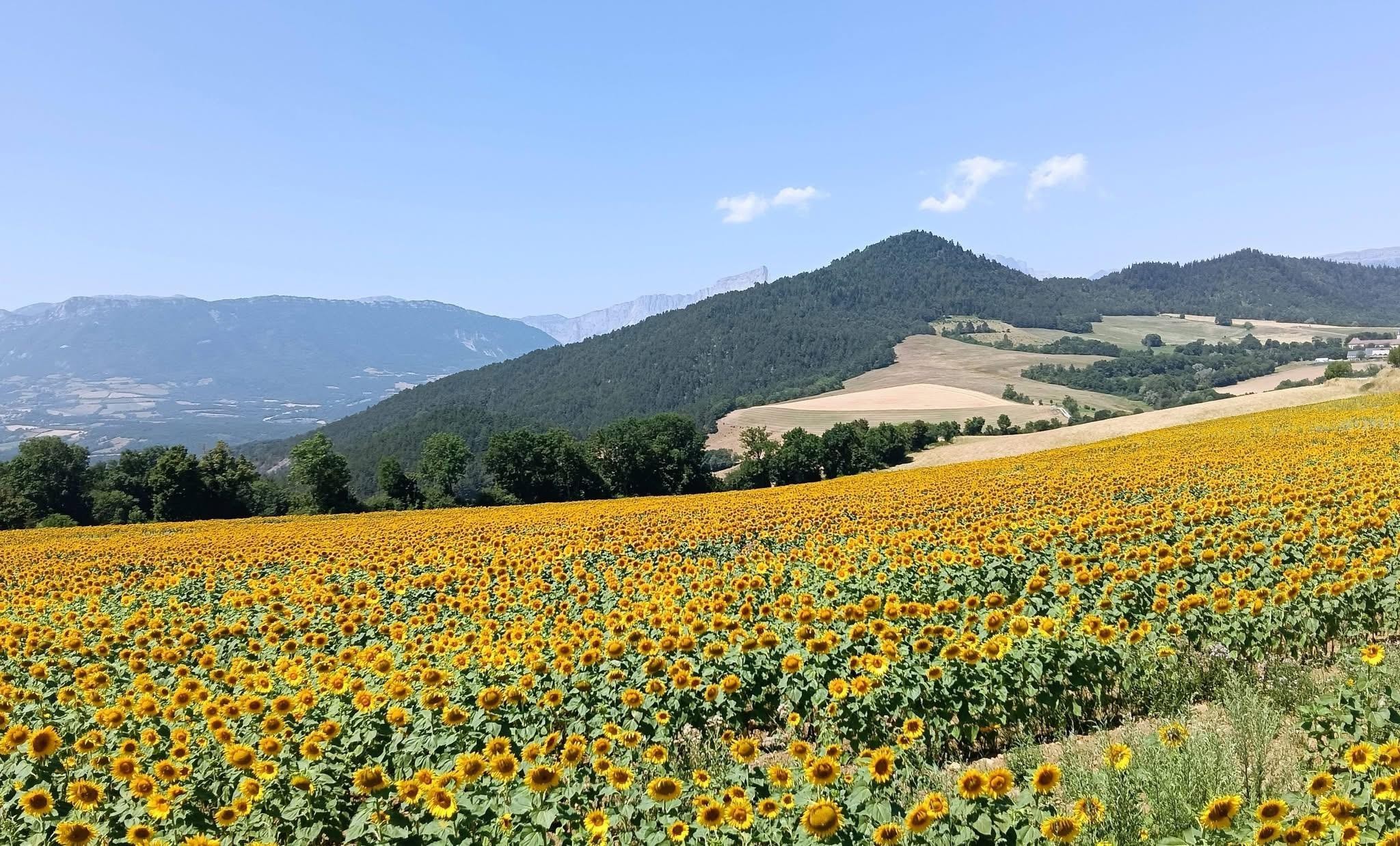 Terres du Trièves 