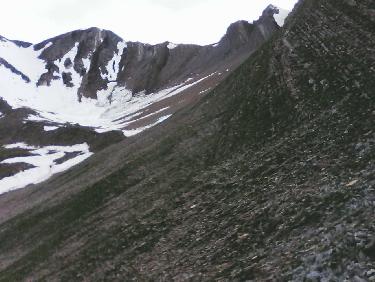 tÃªte de chante-perdrix Ã  D