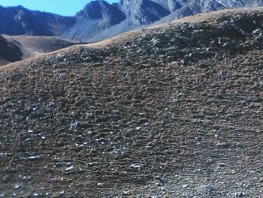 tete de chante-perdrix en boucle depuis le lac de l&apos;hivernet