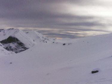 tÃªte de soleil-boeuf , tÃªte de l&apos;hivernet et tÃªte de chante-perdrix Ã  D