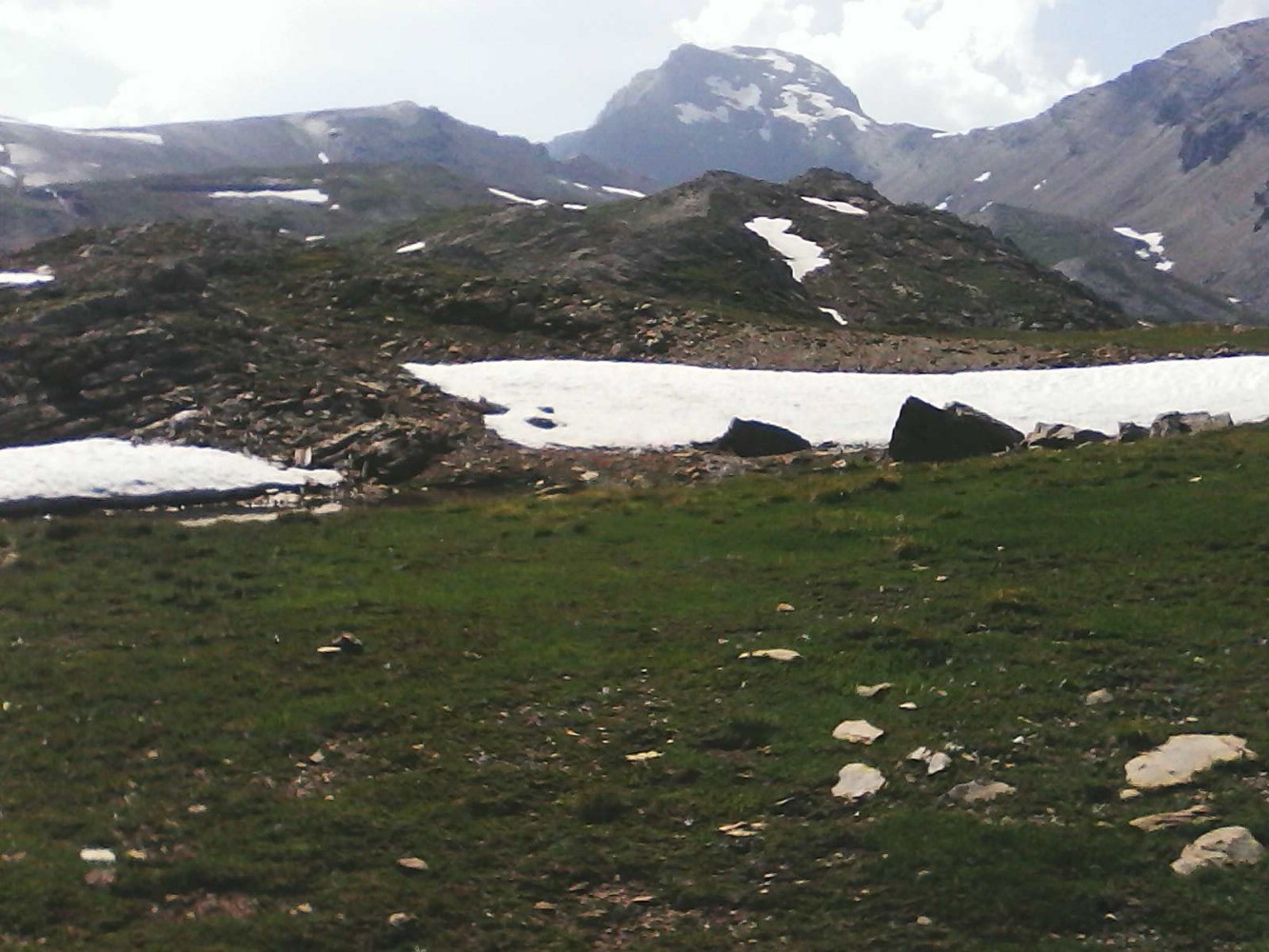 tÃªte de vautisse