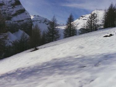 tÃªte du couleau-col-rochelaire