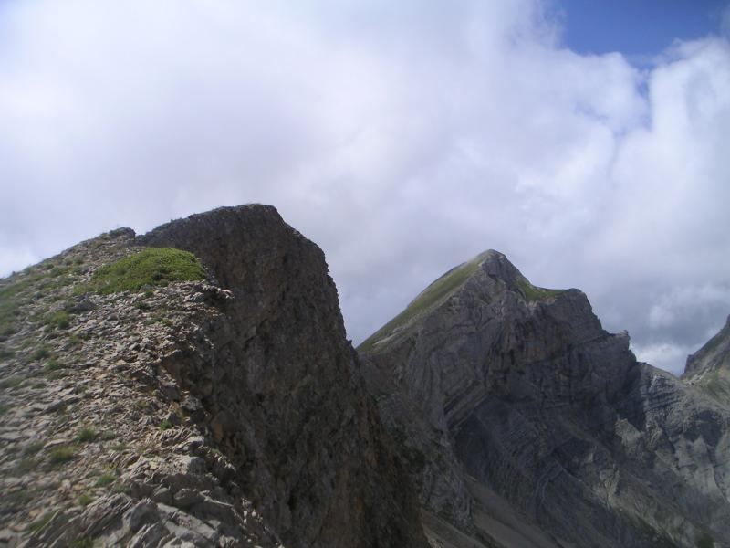 tête de Garnesier..