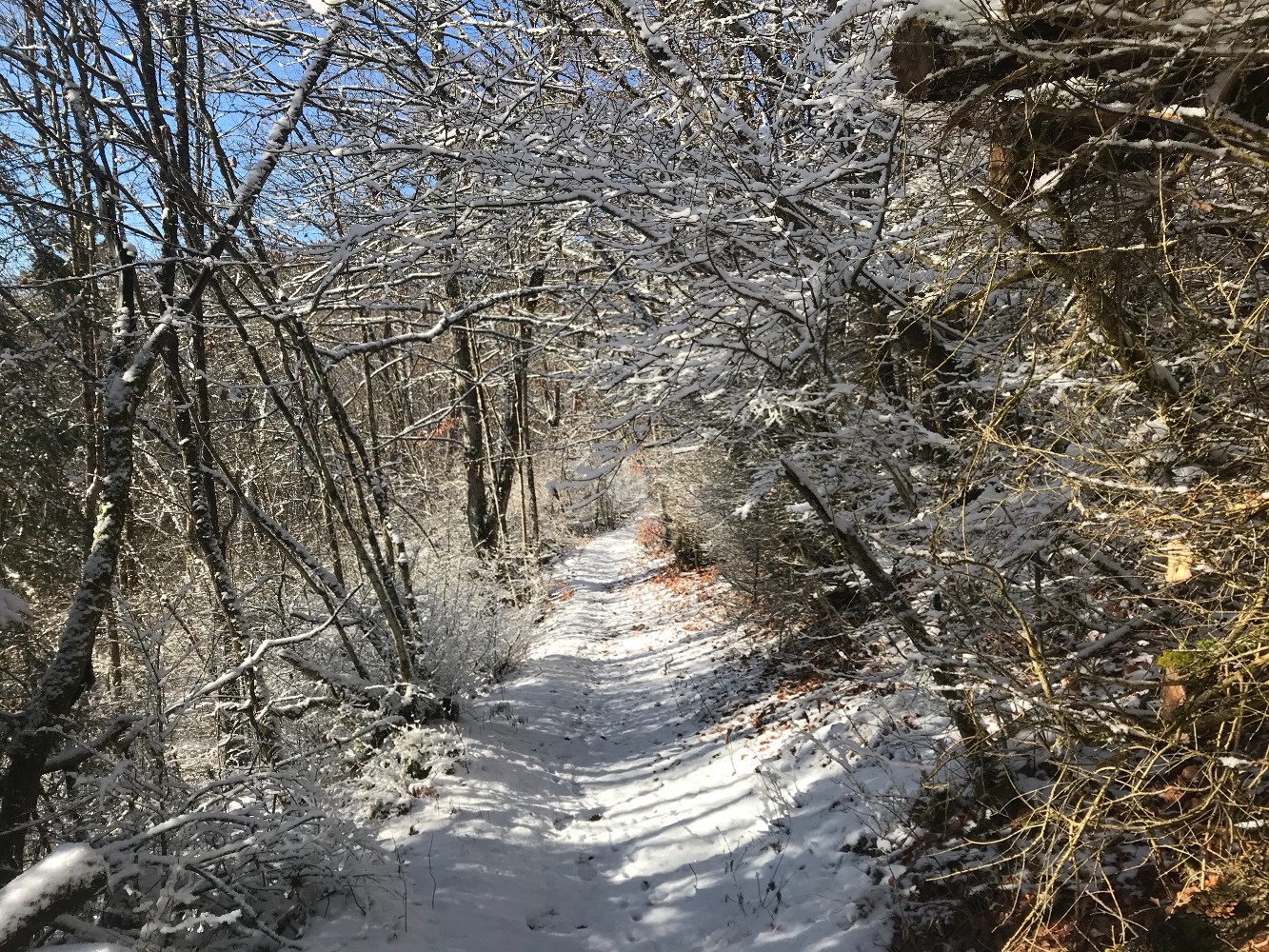 la neige fait son apparition au col