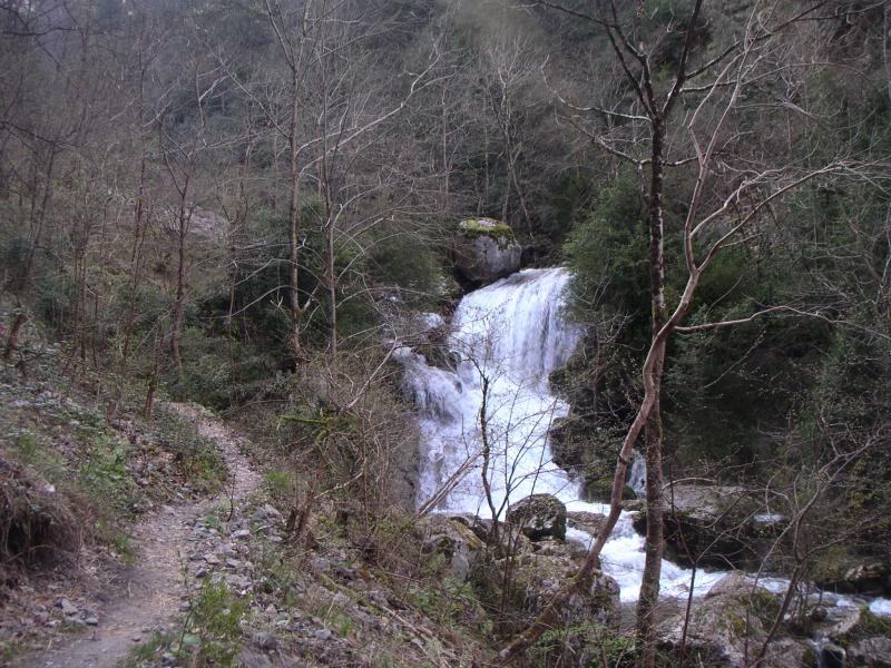 torrent
