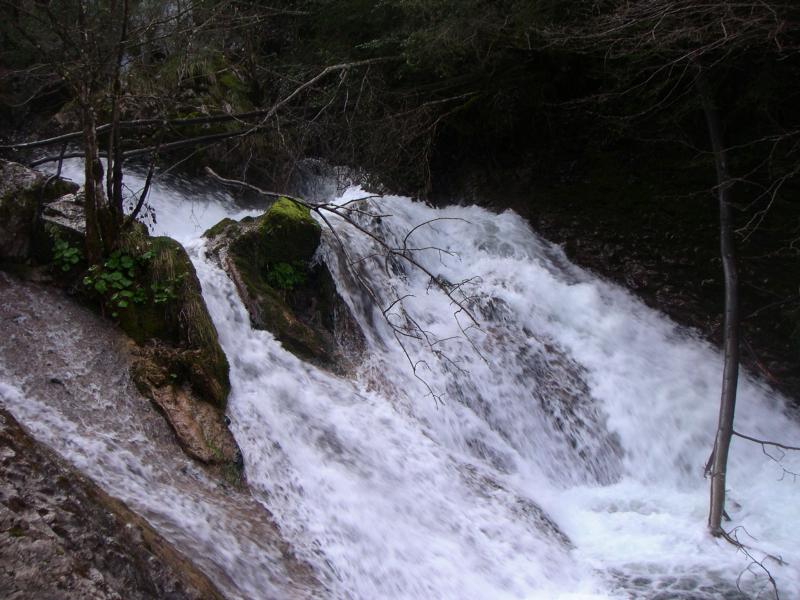 torrent