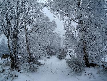 Toujours gris mais plus sympa