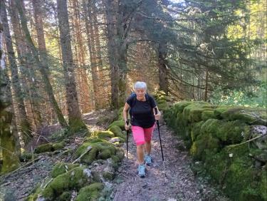 Toujours ce vieux chemin 