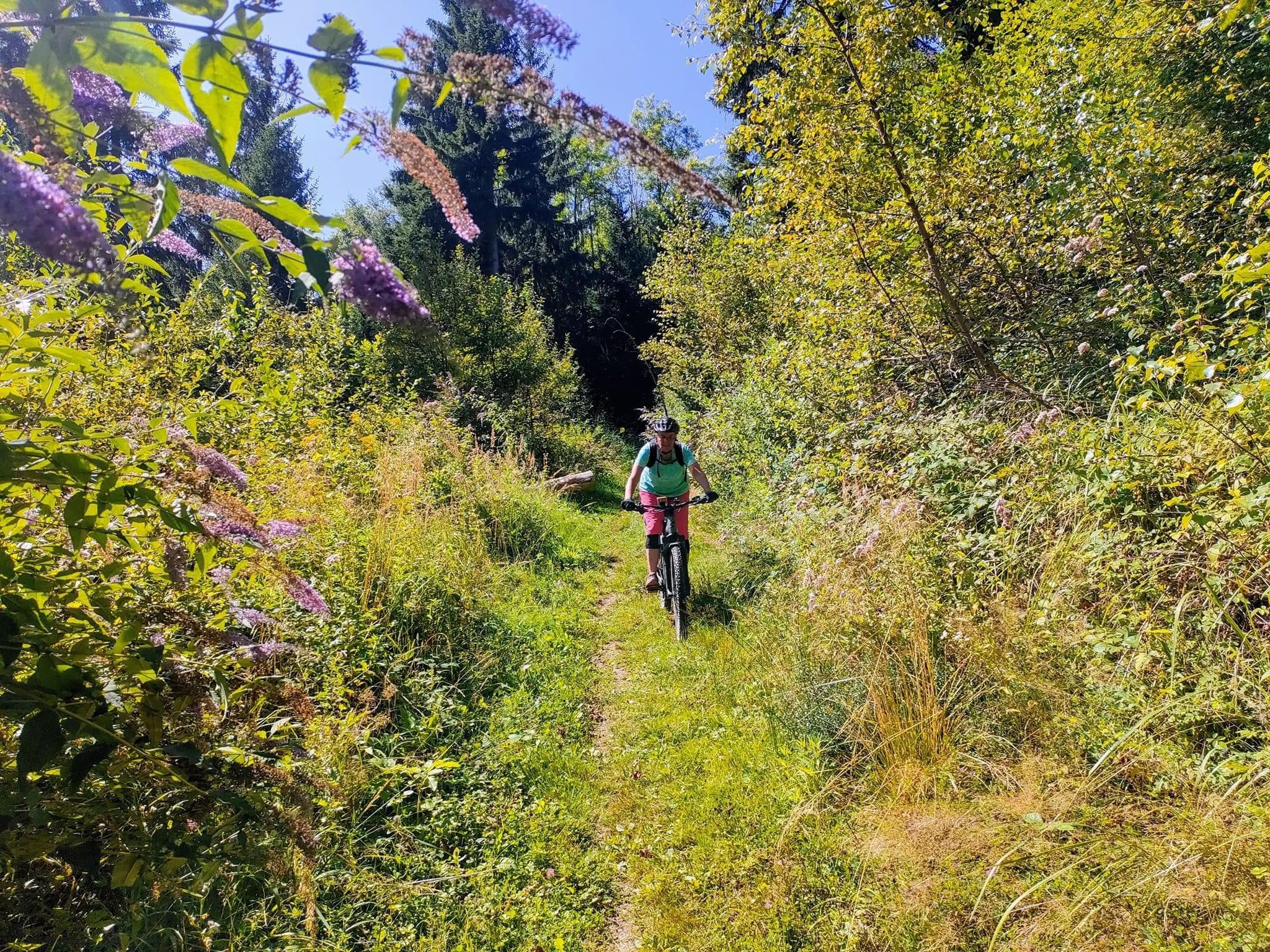 Le tour de Brame-Farine
