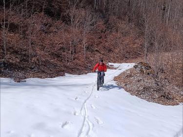 Tour de la Tourbière du Peuil 