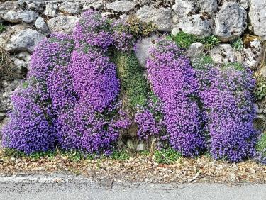 Tour de la Tourbière du Peuil 