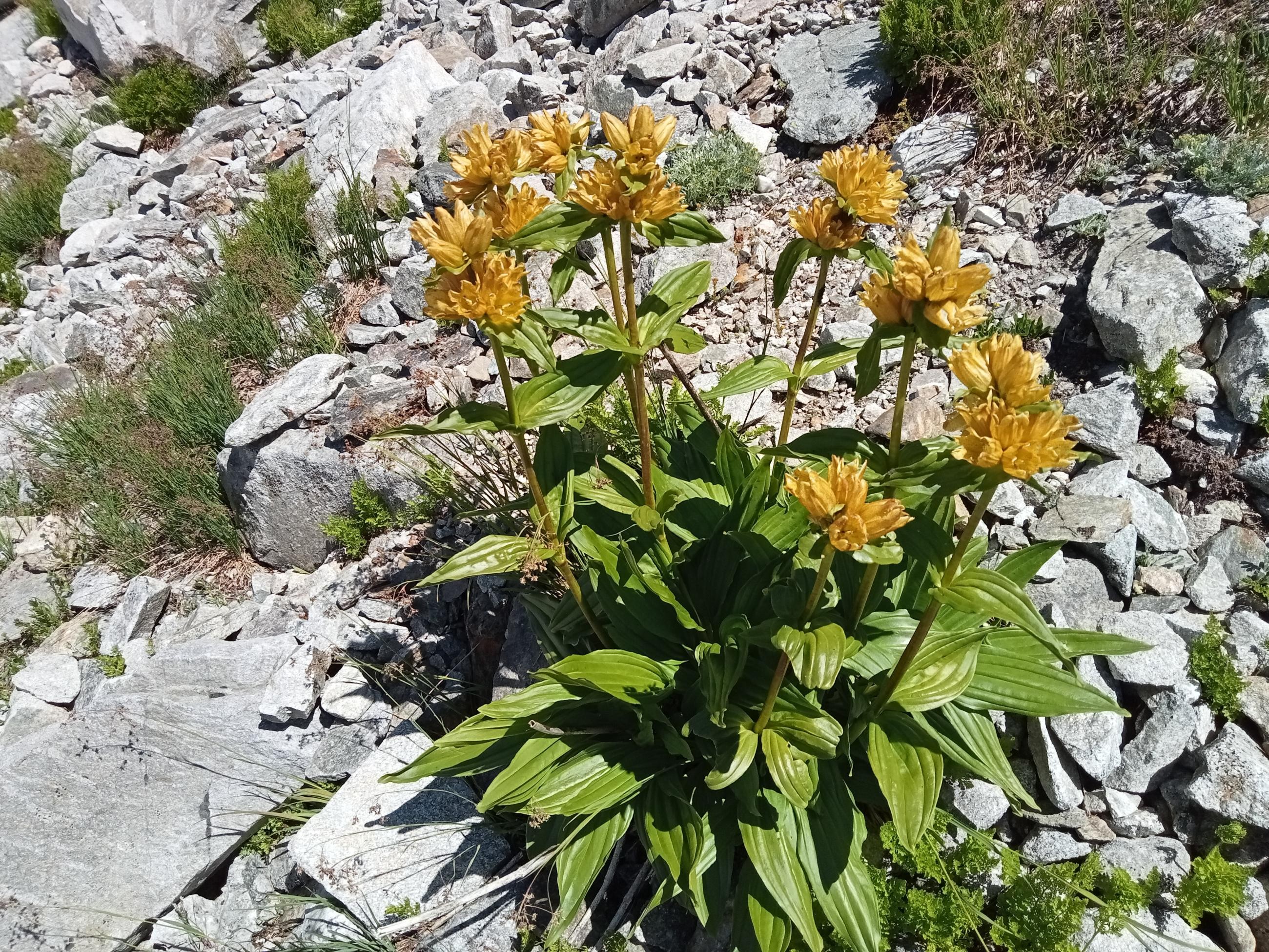 Tour du Pic Nord du Merlet