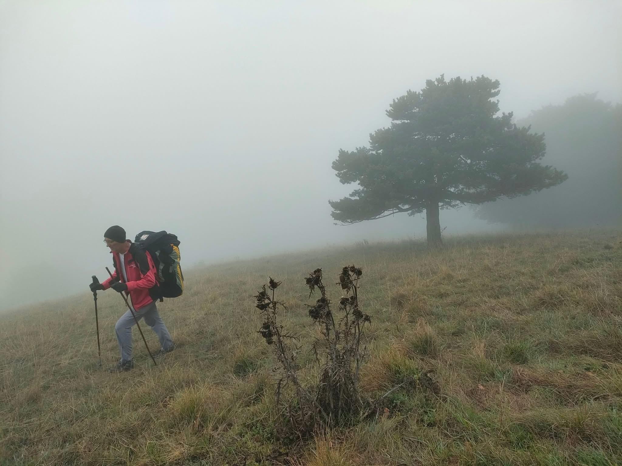 Tout vient à point à qui sait attendre