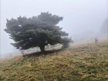 Tout vient à point à qui sait attendre