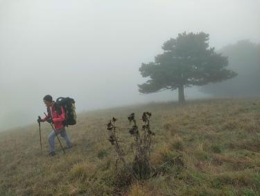 Tout vient à point à qui sait attendre