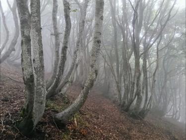 Tout vient à point à qui sait attendre