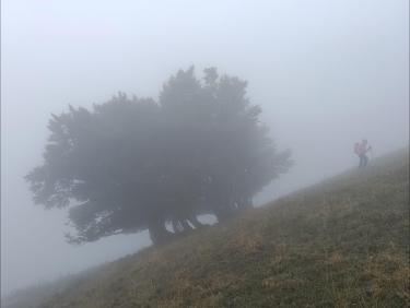 Tout vient à point à qui sait attendre